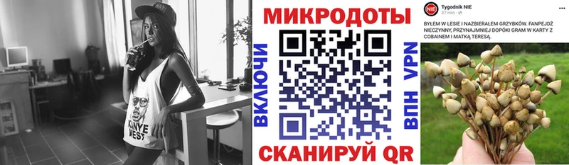 Галлюциногенные грибы Psilocybe  Купить закладки  Мглин 