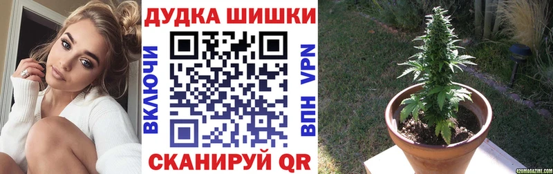 МАРИХУАНА MAZAR  Купить закладки  Мглин 
